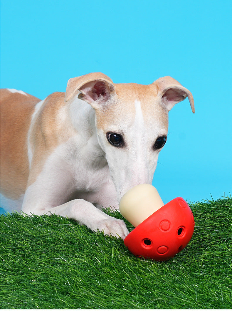 Mushroom Chew Toy – Interactive Treat Dispenser for Dogs