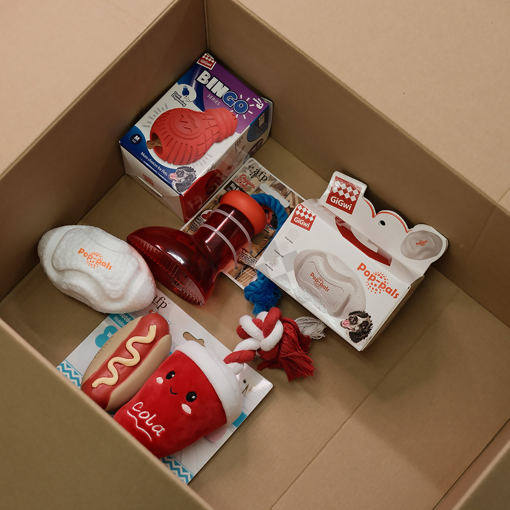Cuddle Doggy Curated Box