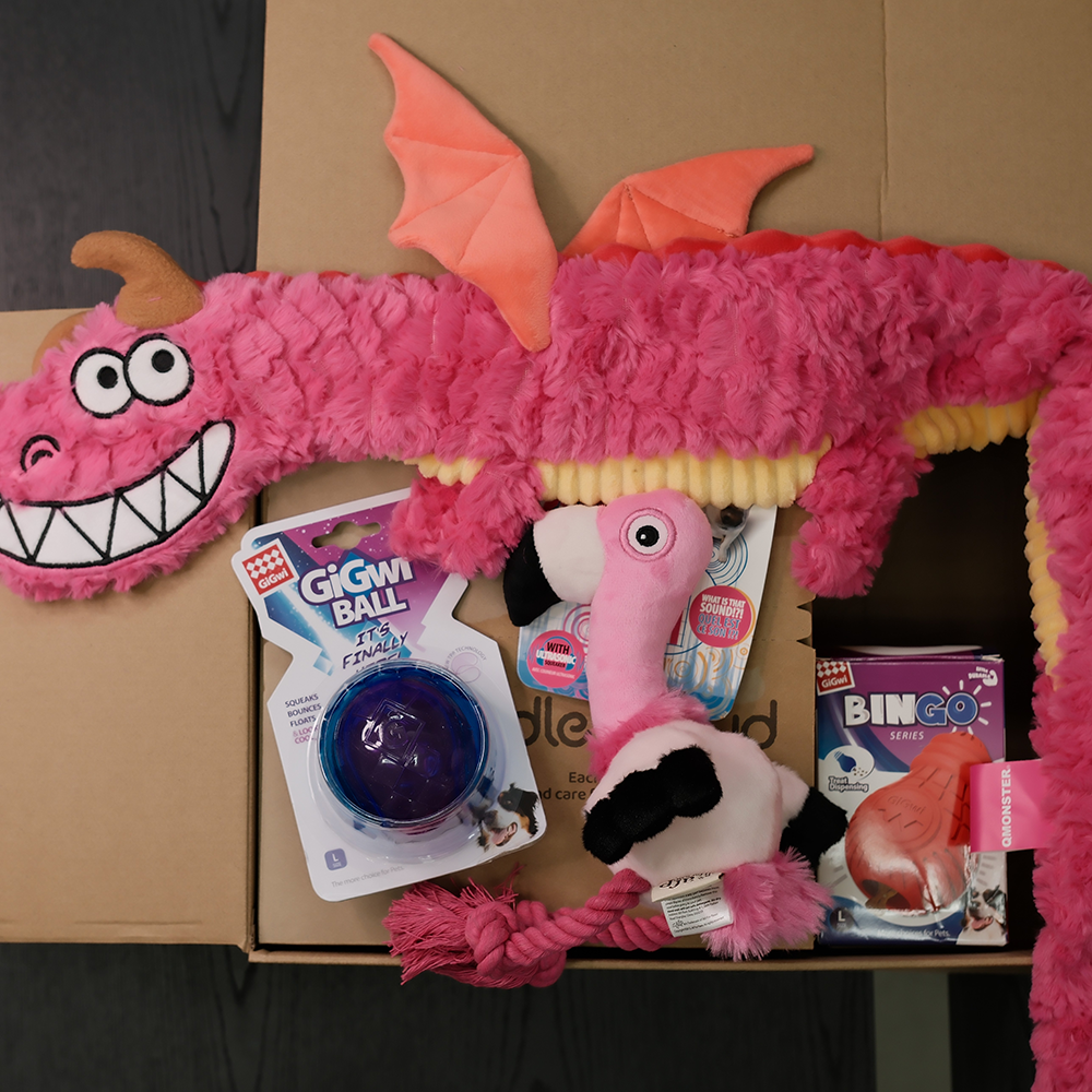 Cuddle Doggy Curated Box