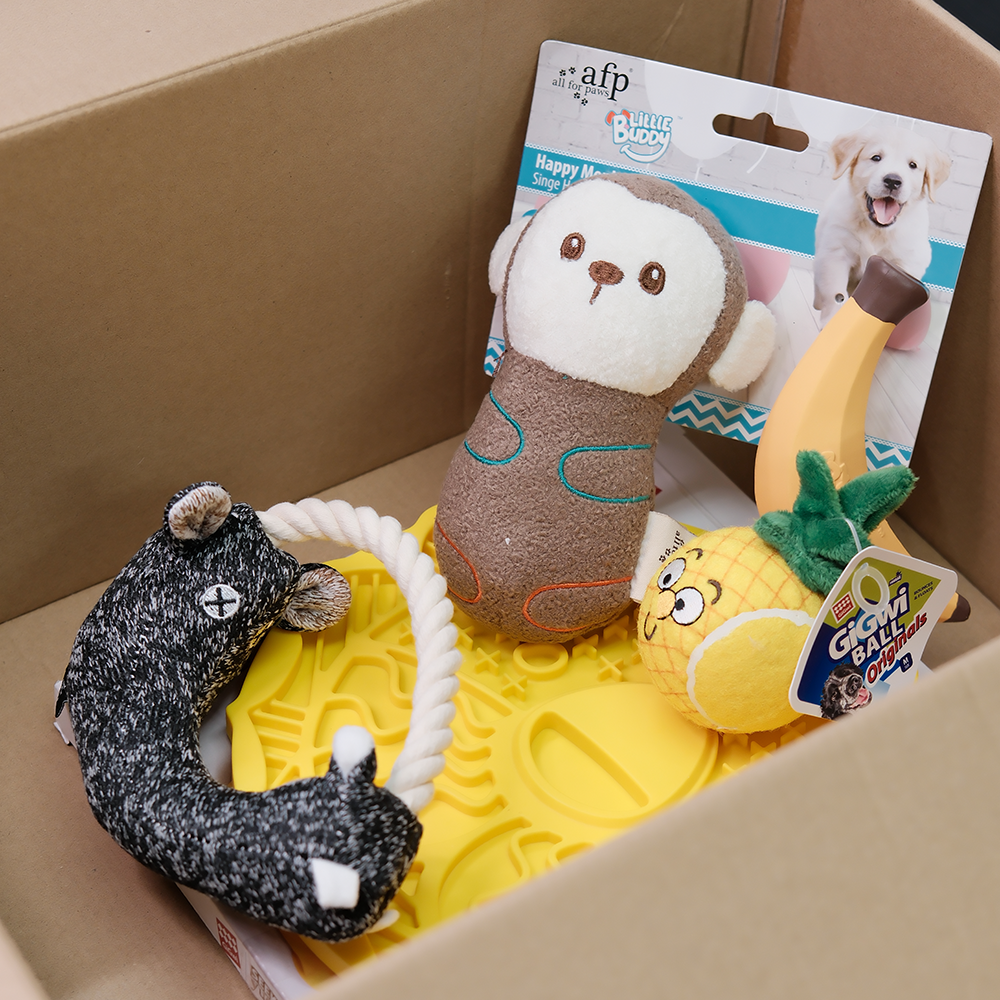 Cuddle Doggy Curated Box