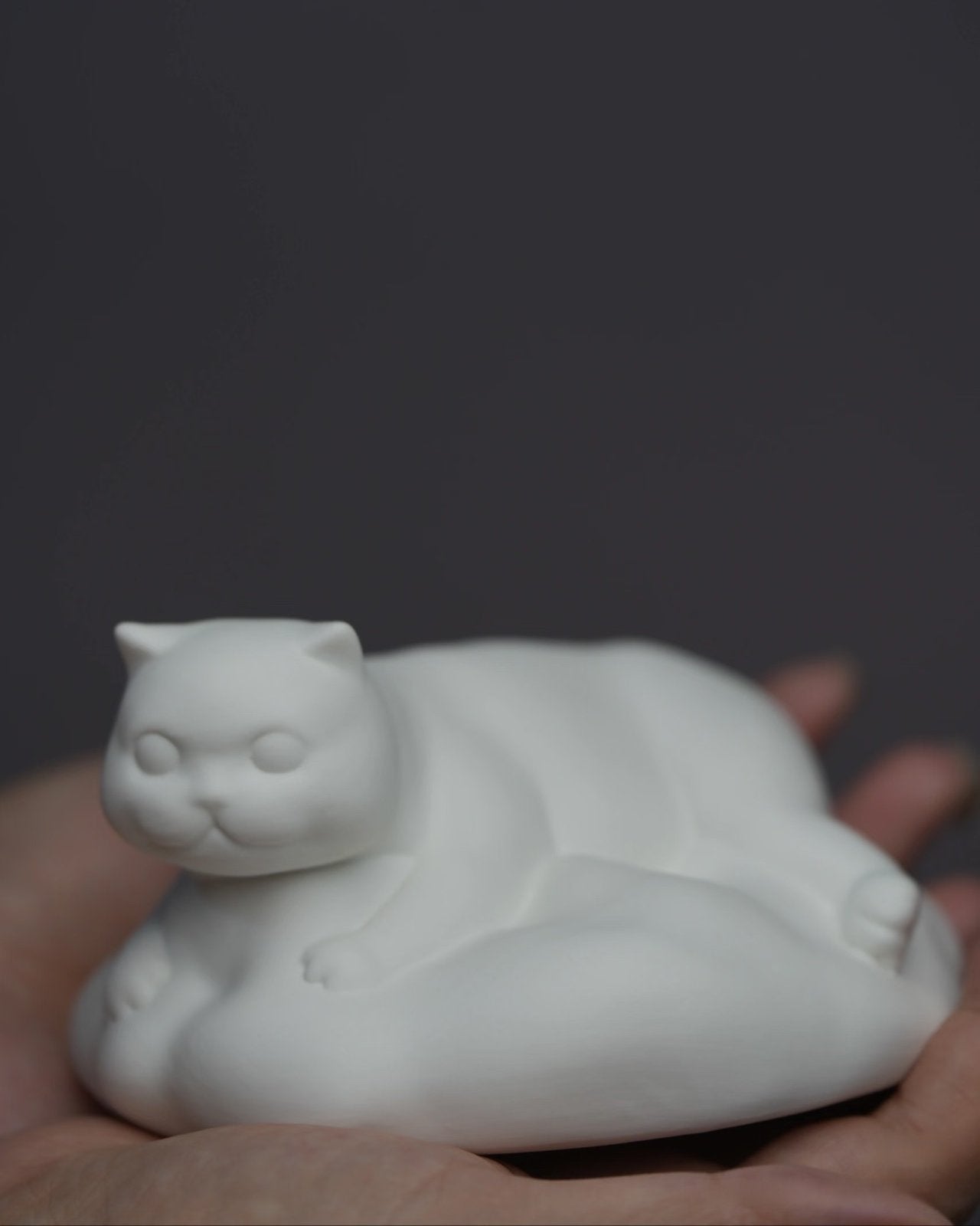 🐾 Custom Ceramic Pet Urn | “Cloud Sleep” Edition