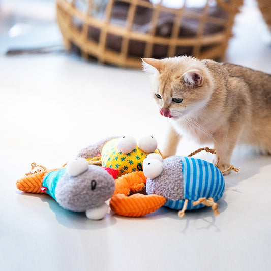 Cuddle Cloud Pet Curated Box