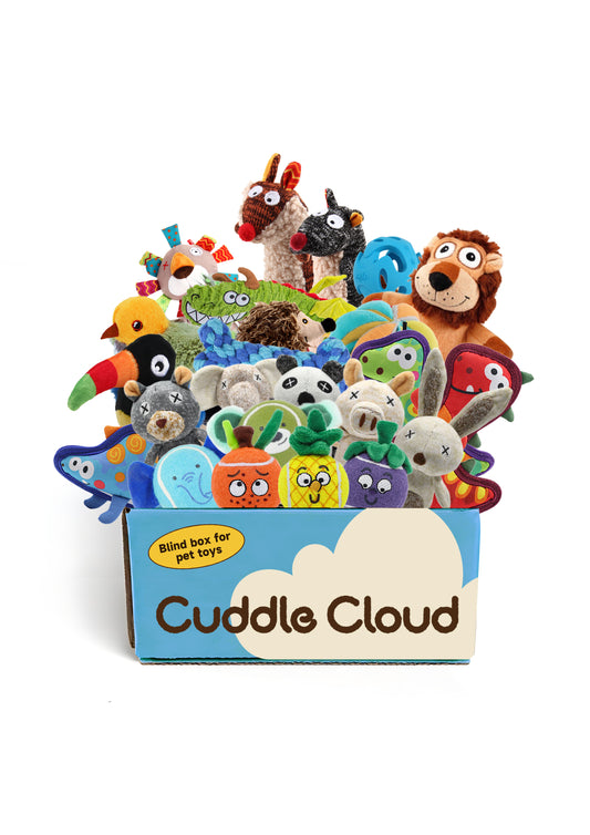Cuddle Cloud Pet Curated Box